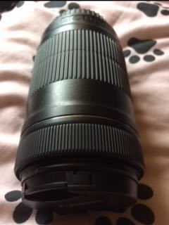 Canon 55-200mm Lens in london