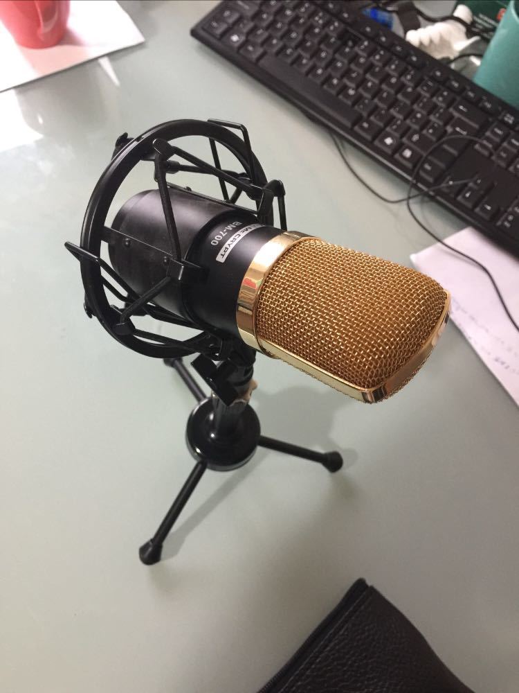 Original 2007 (assembled in Germany)BM-700 Professional condenser microphone in london