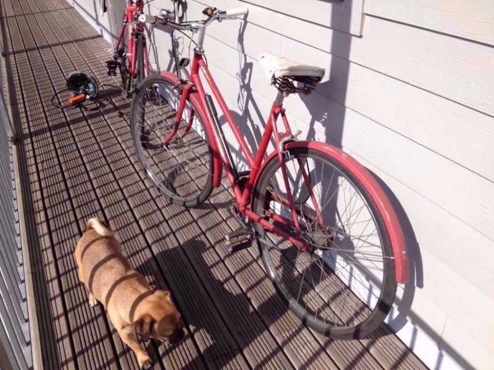 Red bicycle in london